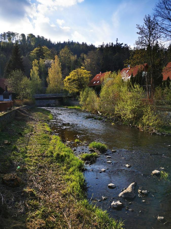 Villa Riverside Karlovy Vary Esterno foto